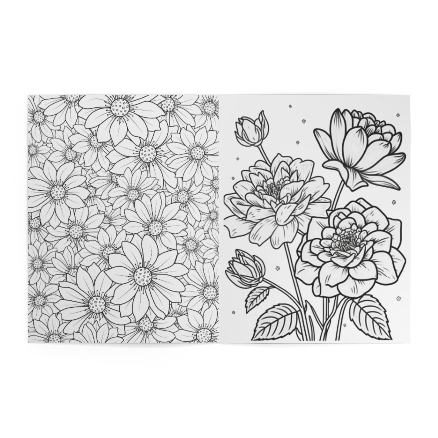 Coloring Book